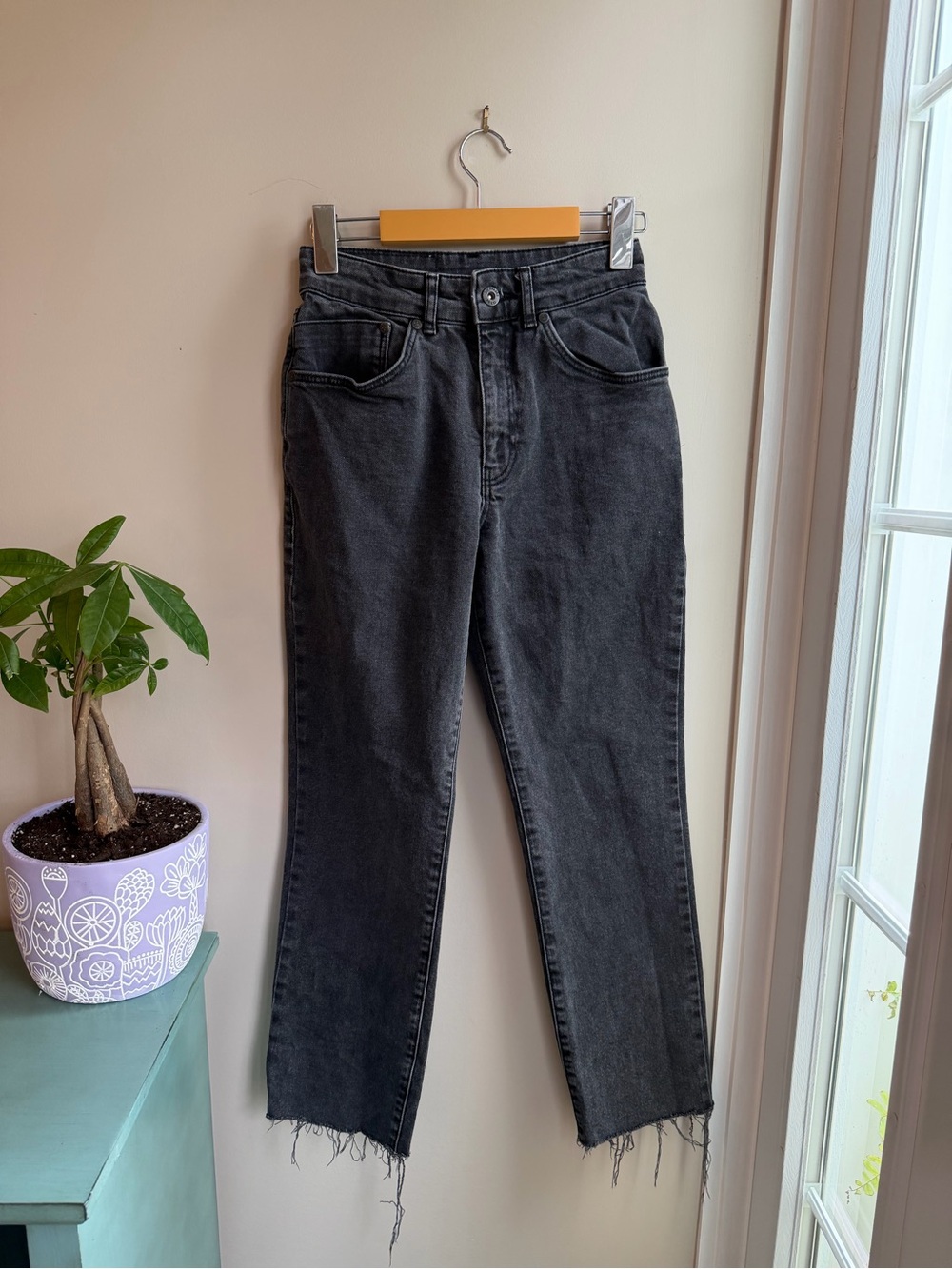 The Ragged Priest Jeans size 24